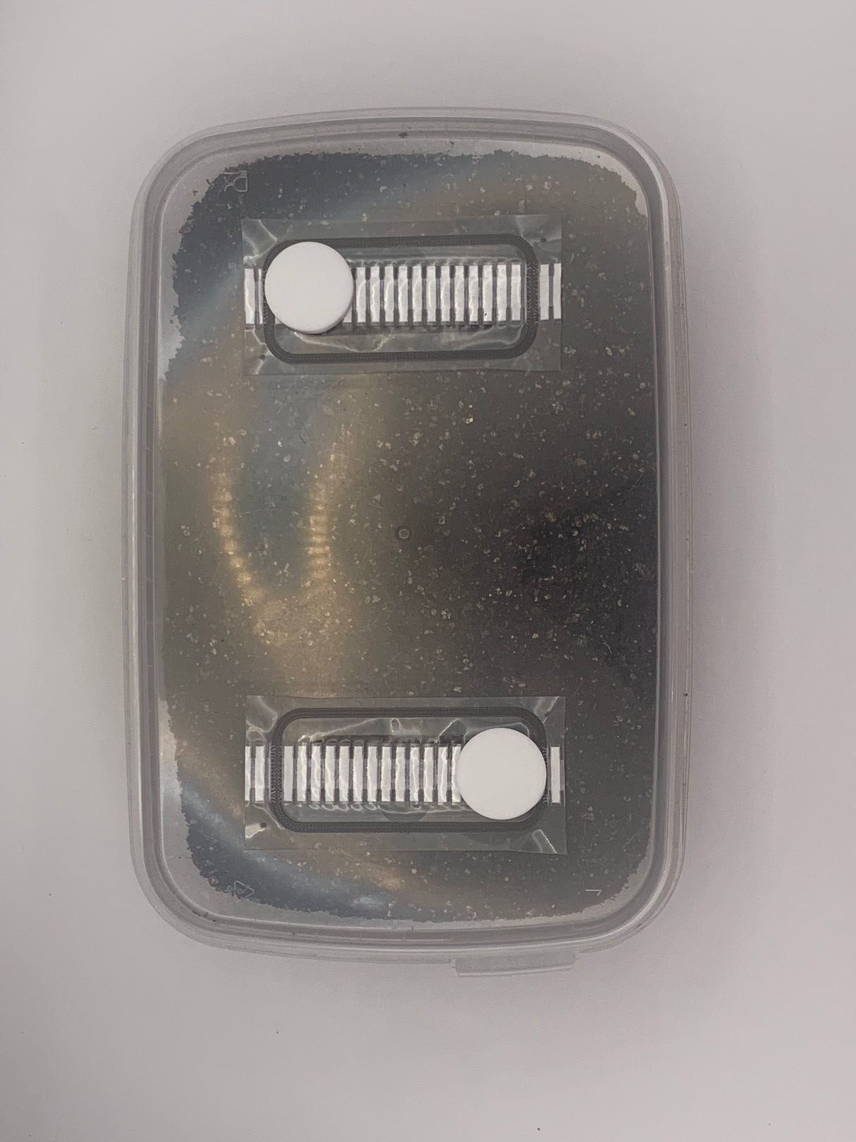 CVG Mushroom Grow-Tub kit