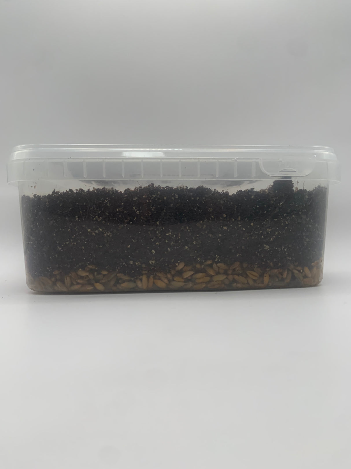 CVG Mushroom Grow-Tub kit