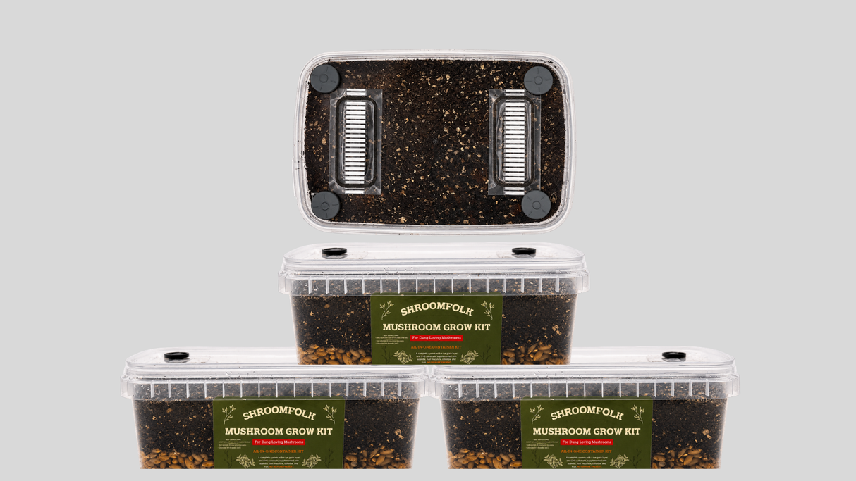 3-Pack CVG Mushroom Grow-Tub kit (1200ml All-in-One)