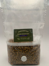 3 lb rye grain spawn bag