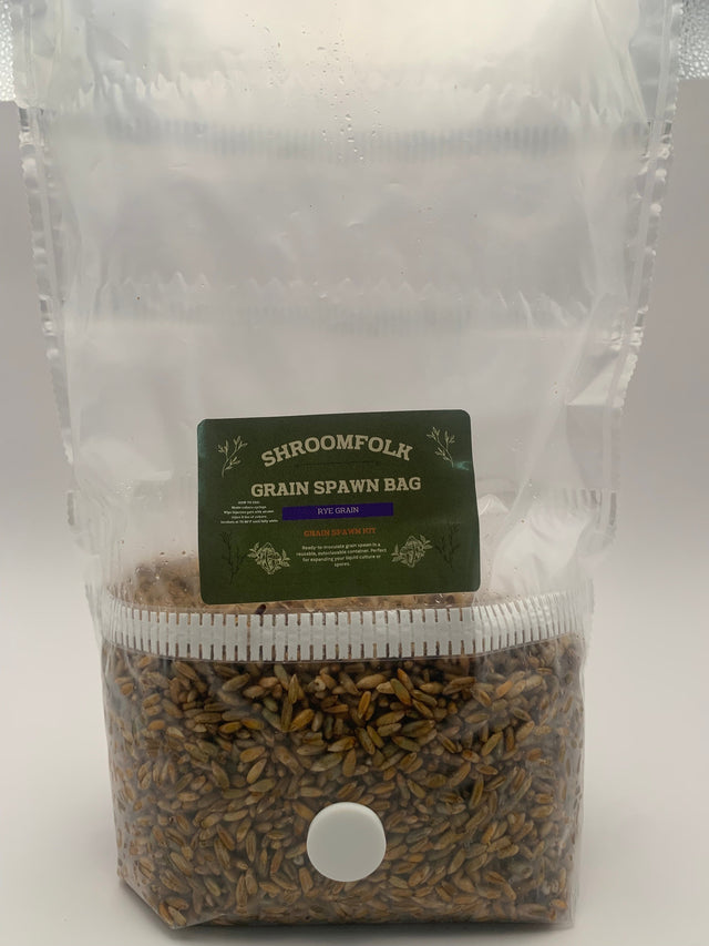 3 lb rye grain spawn bag