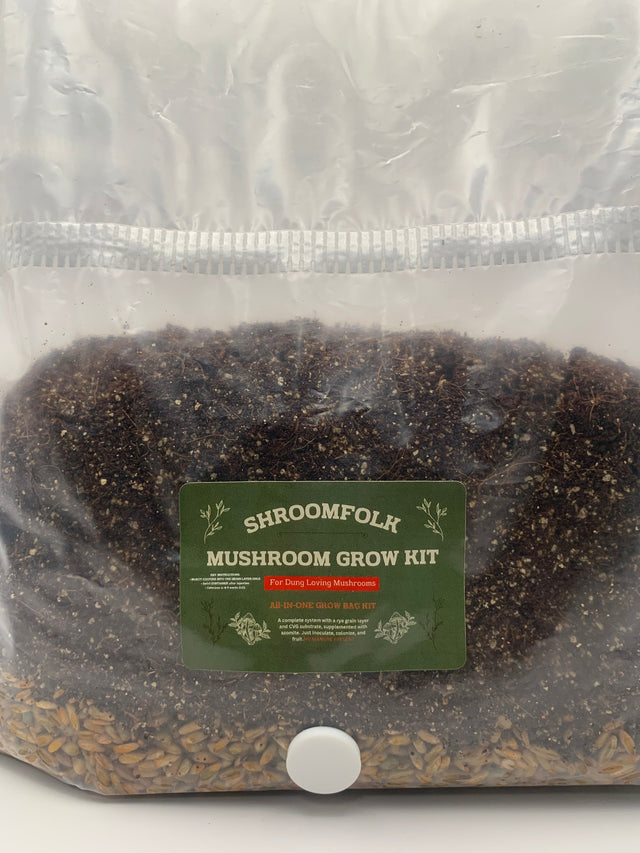 All-in-One grow bag kit for dung-loving species