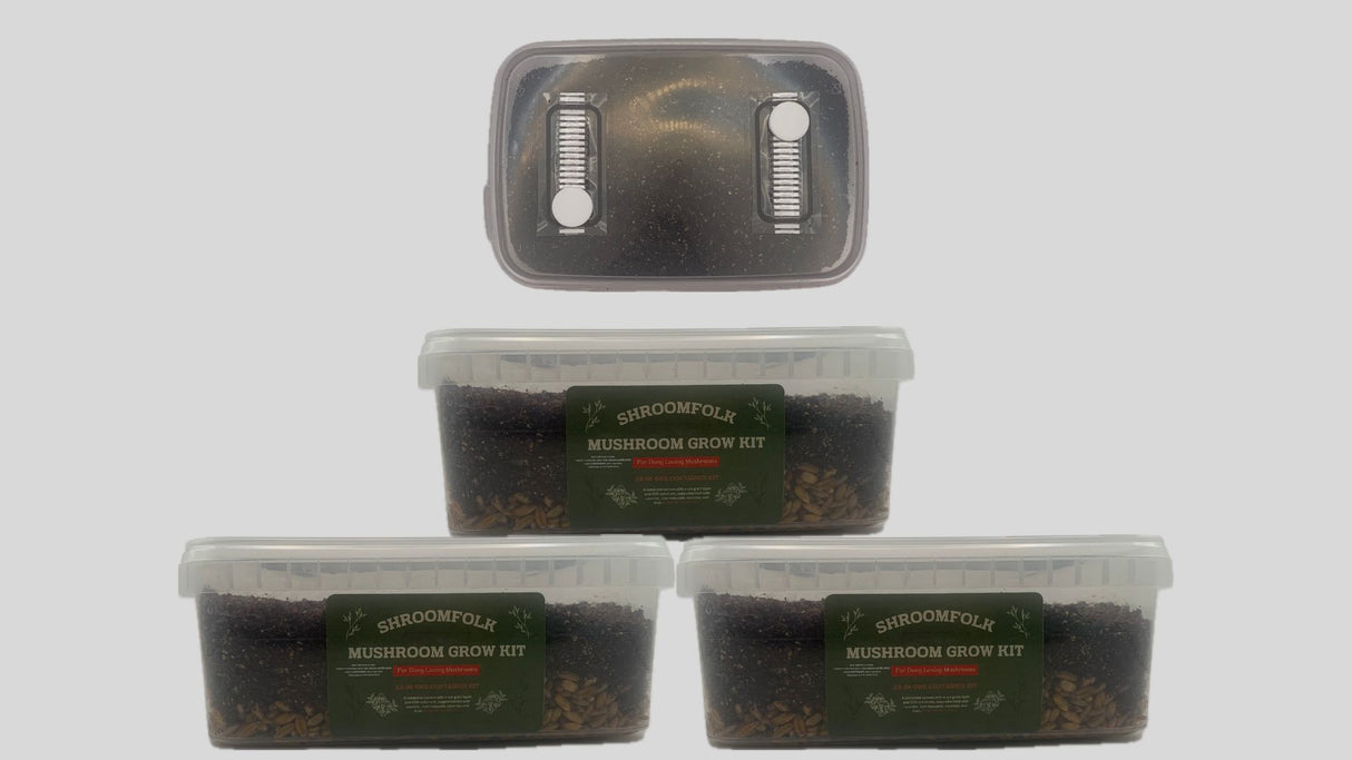 CVG Mushroom Grow-Tub 3-Pack
